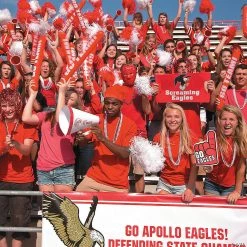 Bat Rings - 144 Pc. -Apparel & Accessories Sales bat rings 144 pc 25 1359 a02