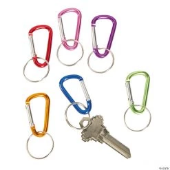 Mini Clip Carabiner Keychains